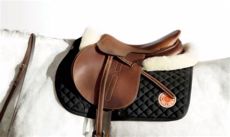 hermes equine|Hermes equestrian products.